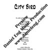 City Bird ♀ - Image 2